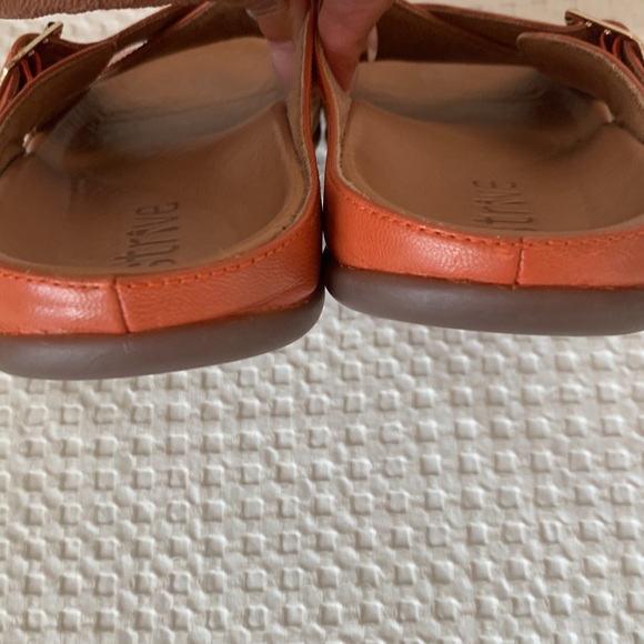 STRIVE - Picture 3 of 6